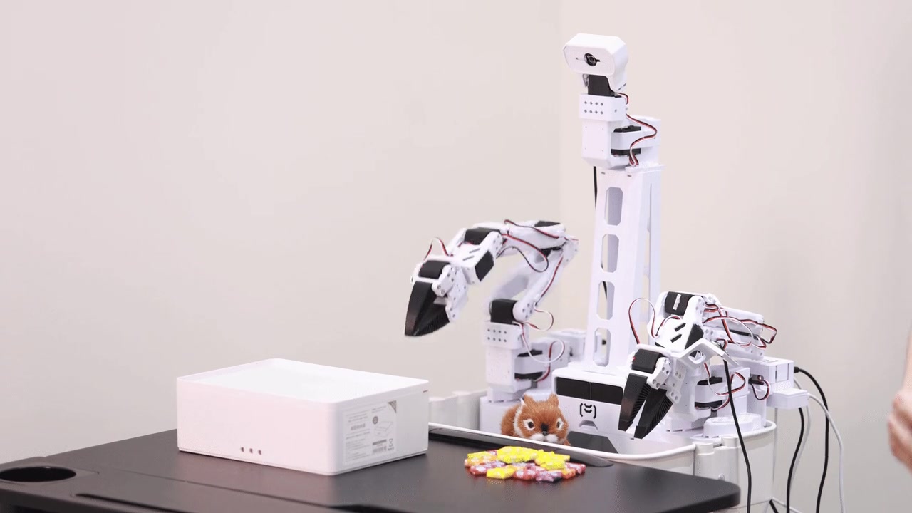 XLeRobot 双机械臂平台